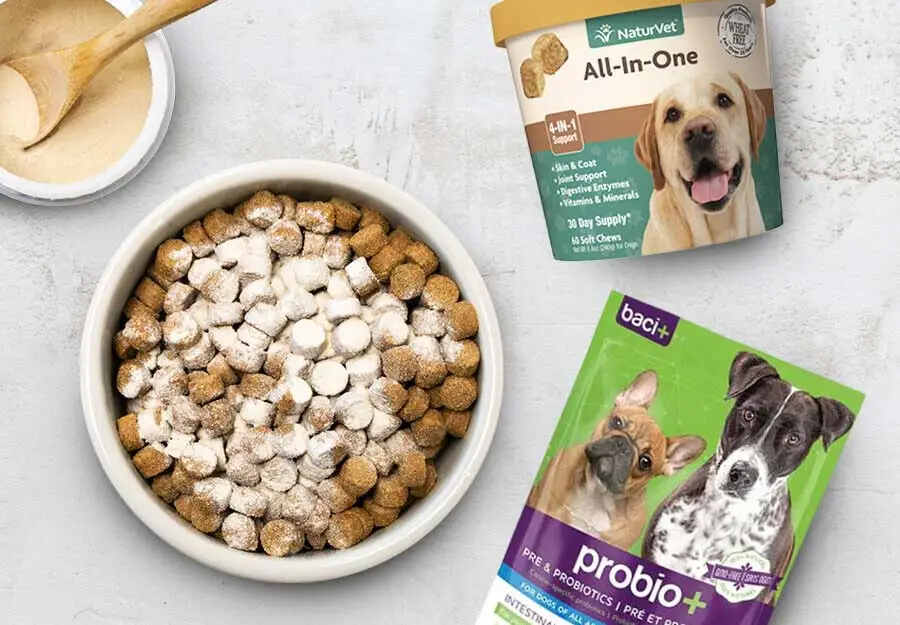 Digestive supplements for outlet dogs